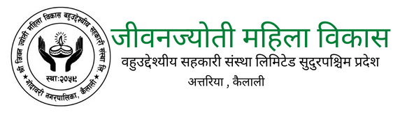 जीवनज्योति महिला विकास